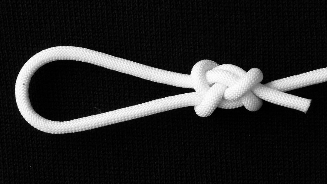 Tweedledee bowline.JPG