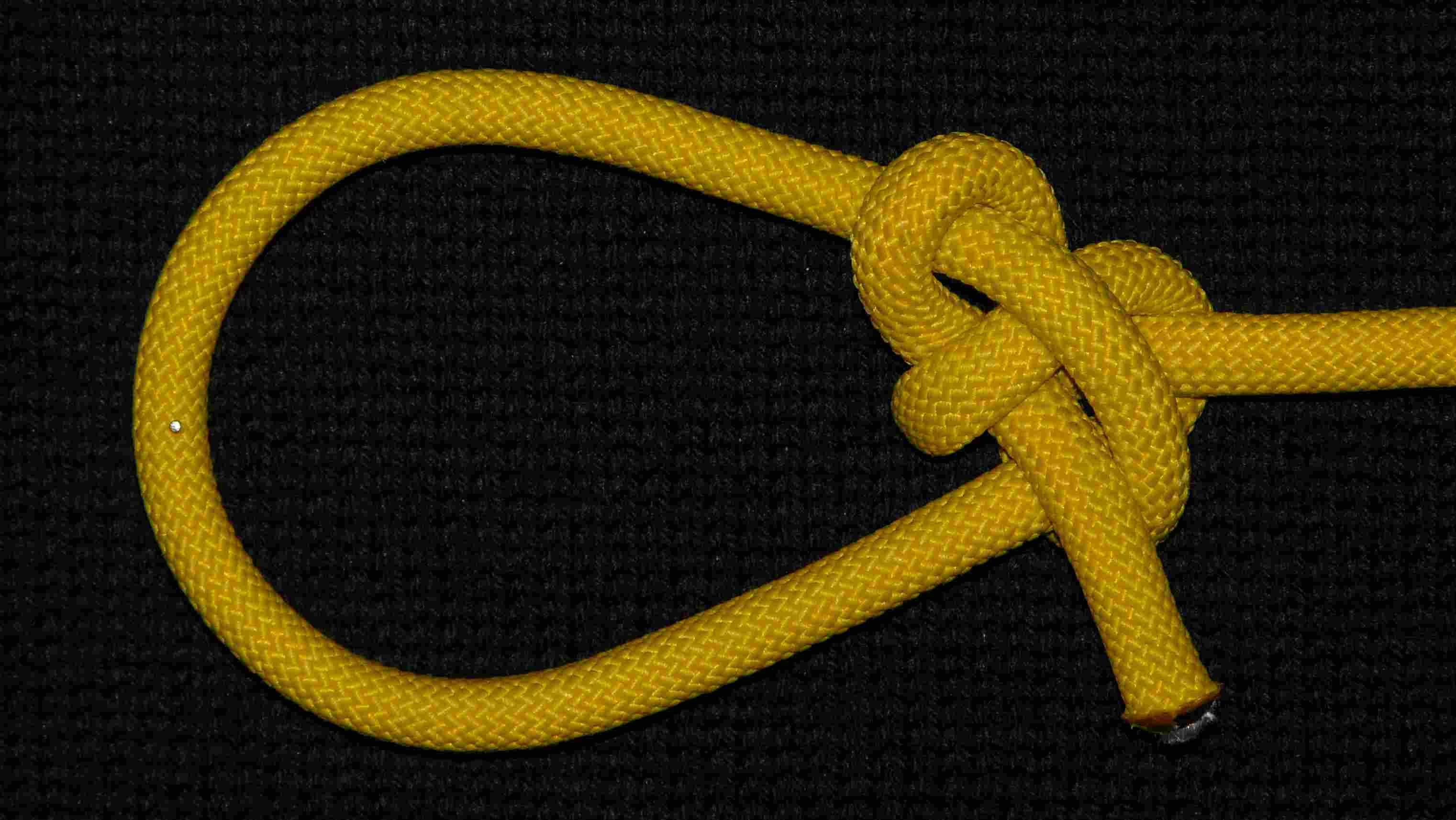 a Carrick loop (1).JPG