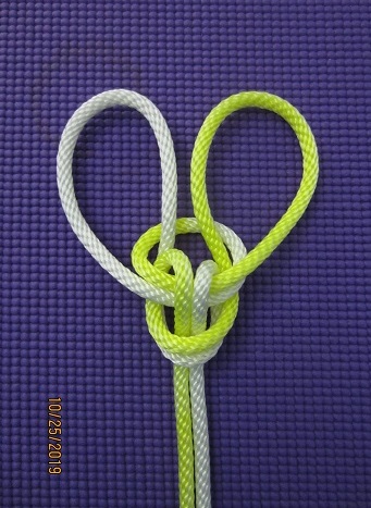 Lee's TIB loop I.JPG