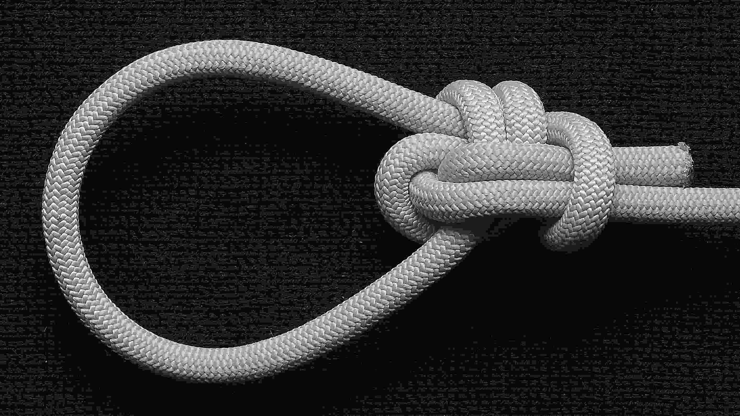 Single bowline on the bight (back view)(B&W).JPG