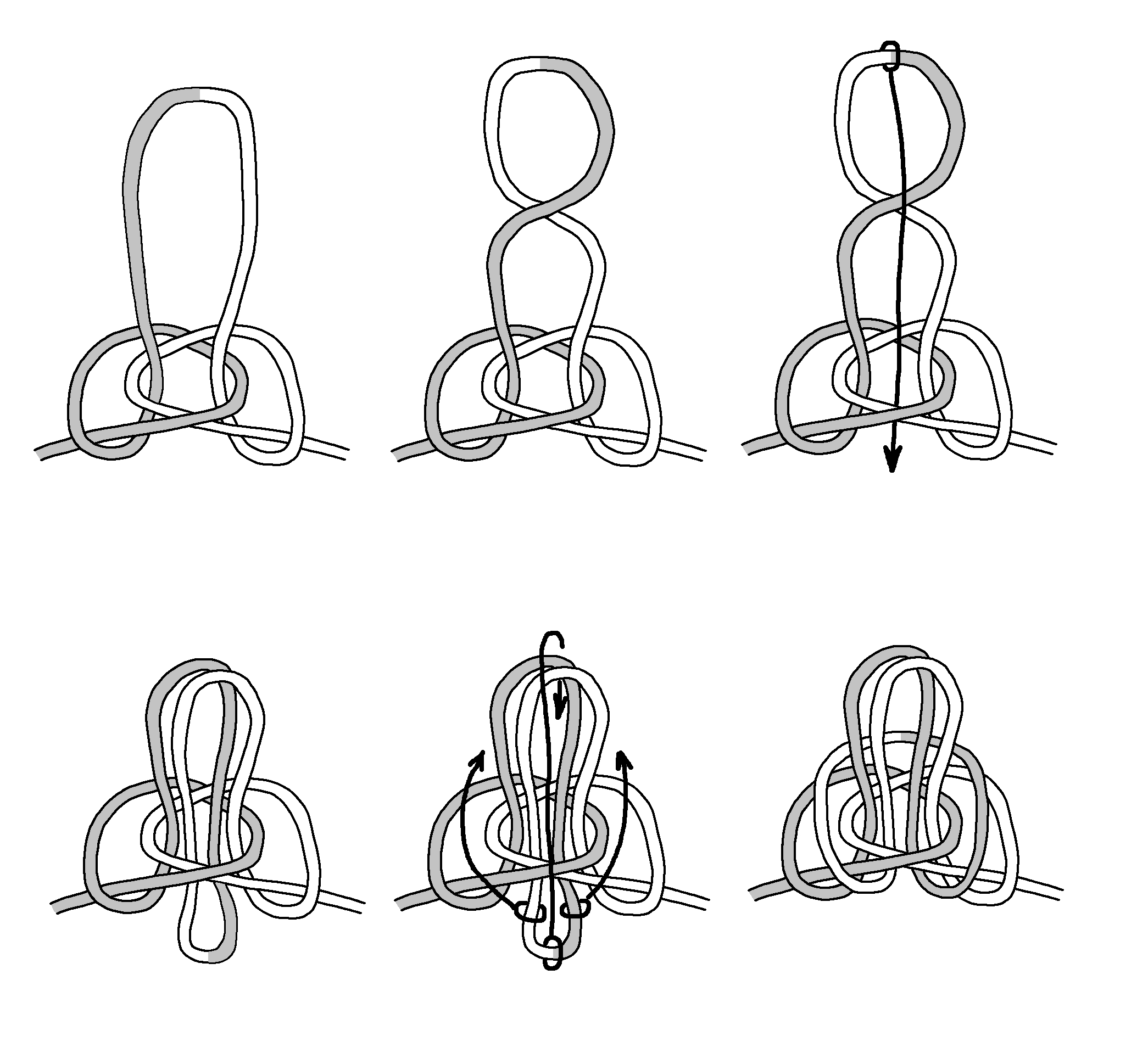 Double Butterfly B.png