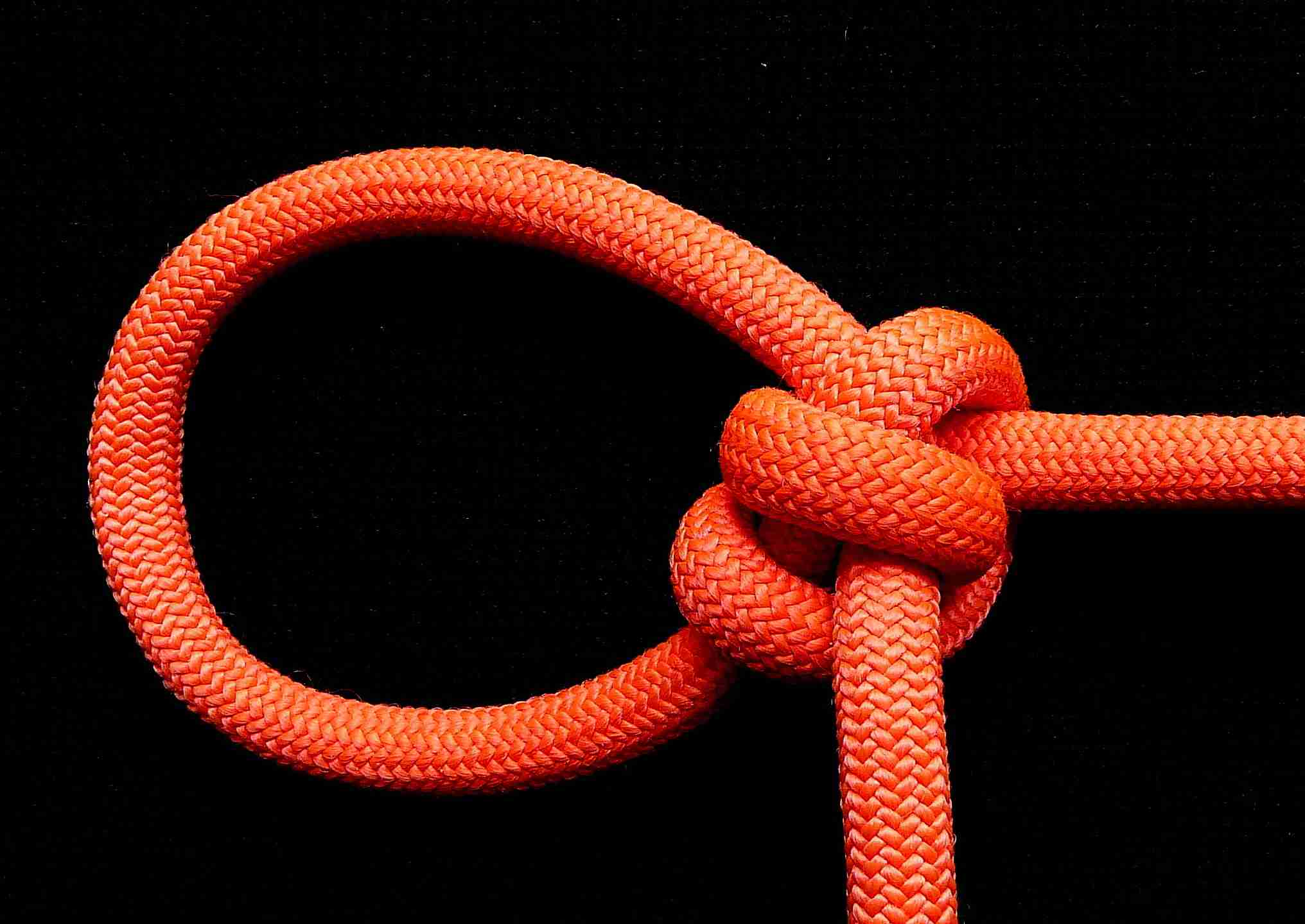 Double overhand knot-based adjustable loop (1).JPG