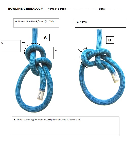 Bowline-Geneaology_TEMPLATE.jpg