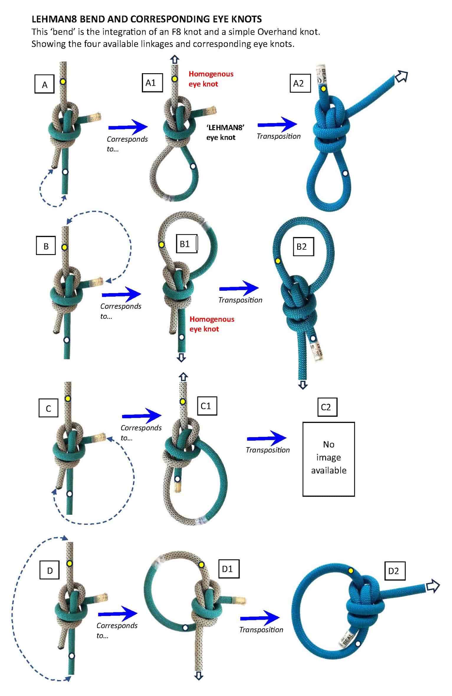 LEHMAN8 BEND AND CORRESPONDING EYE KNOTS_WEB.jpg