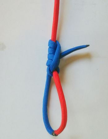 restraint loop front.JPG