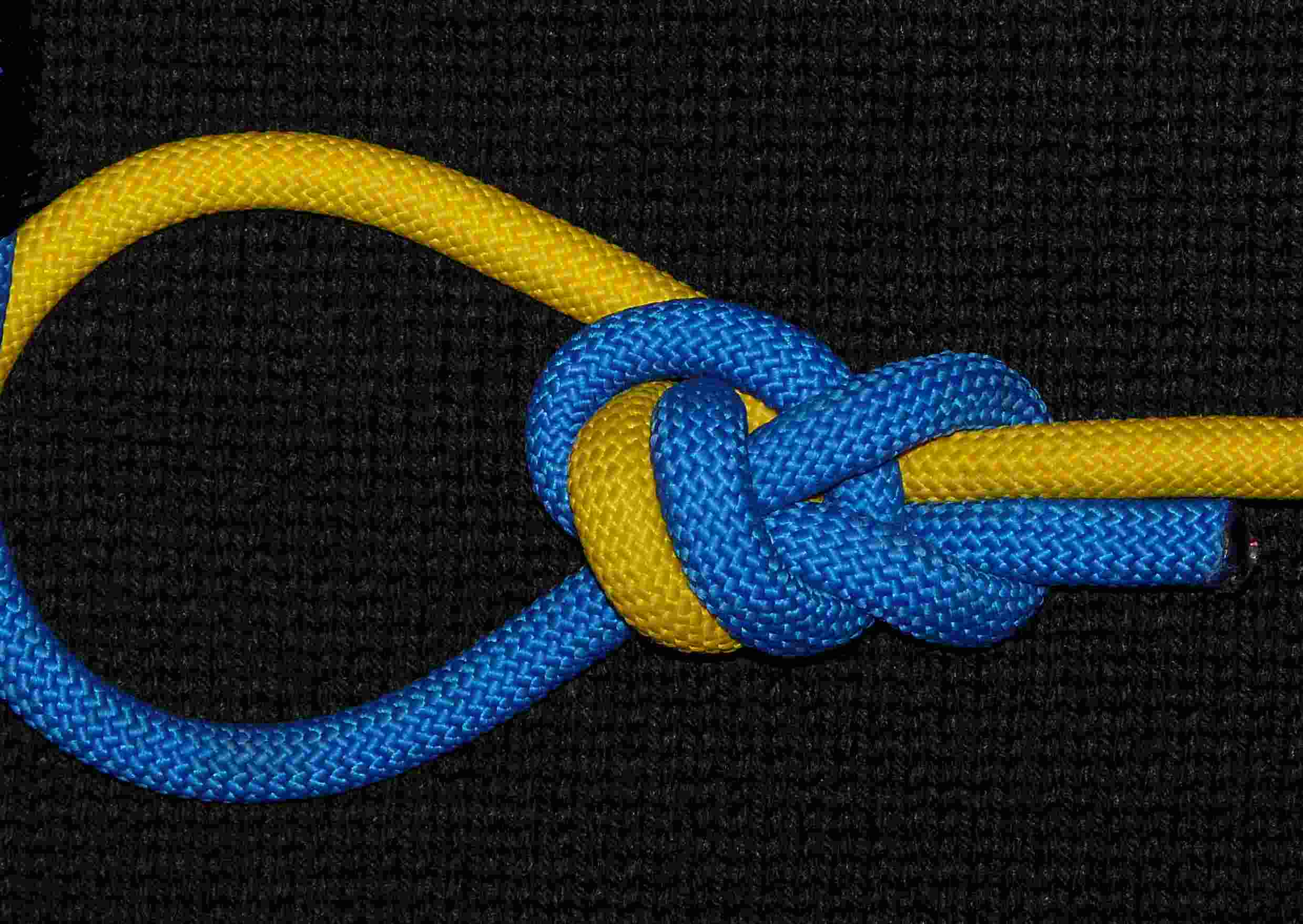 Shrank bowline on-the-bight (front view).JPG
