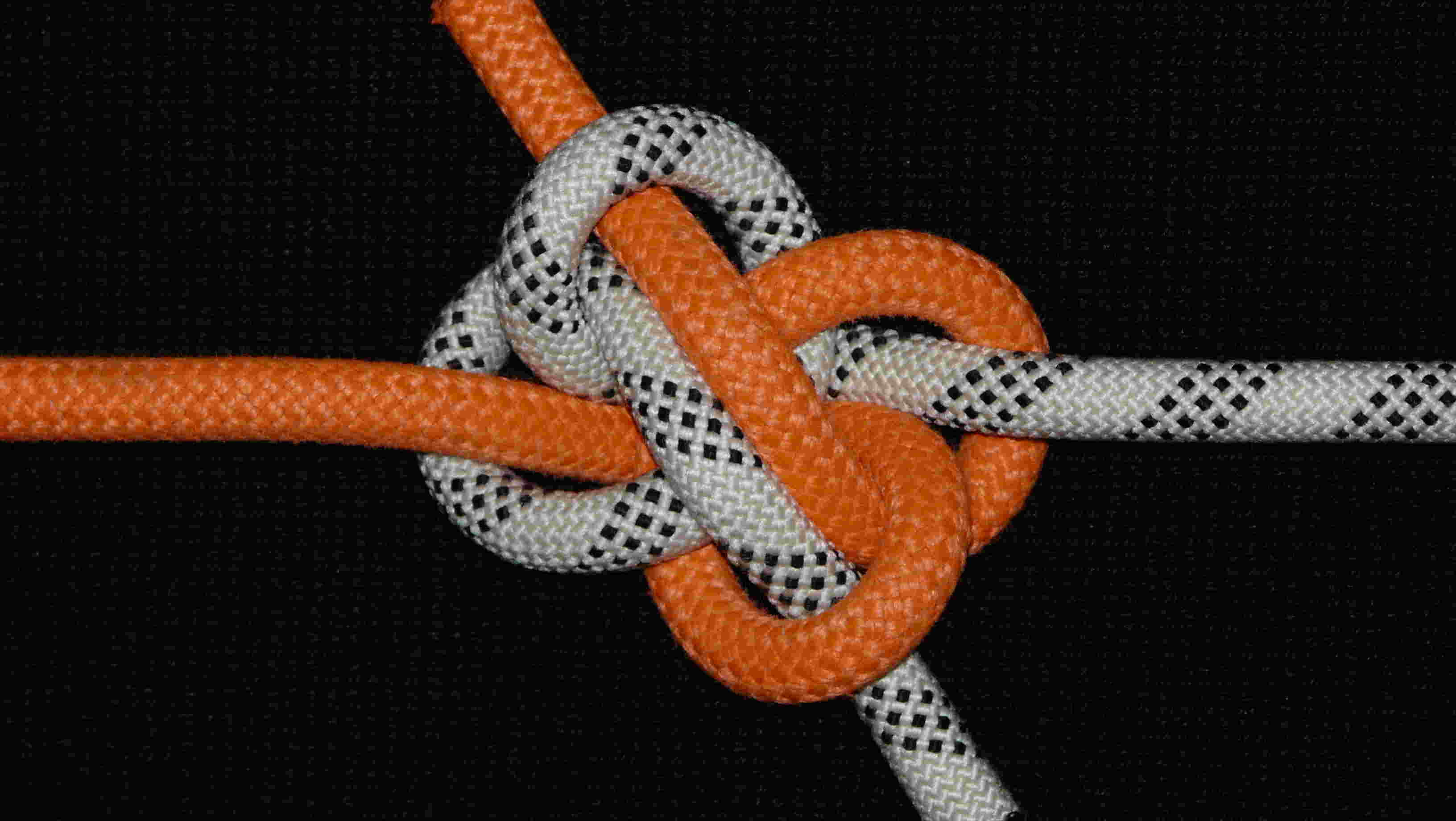 Springy bend (short-loose knot)(front view).JPG