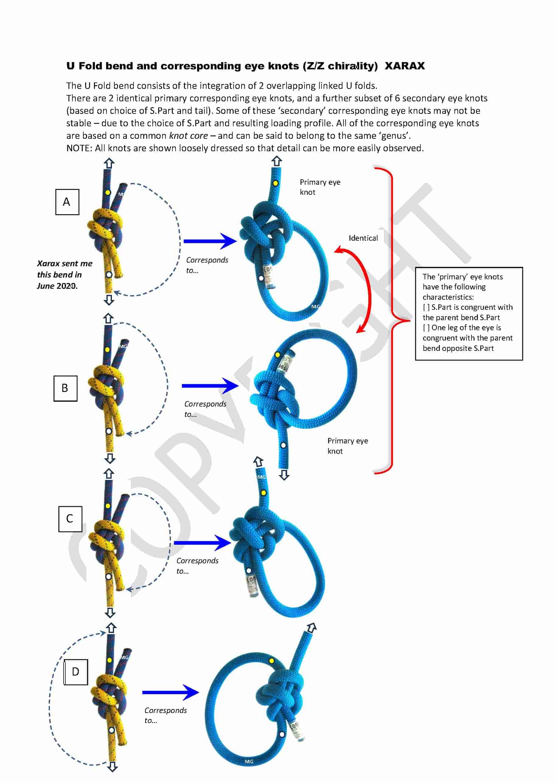 U-Fold-bend_corresponding eye knots-min.jpg