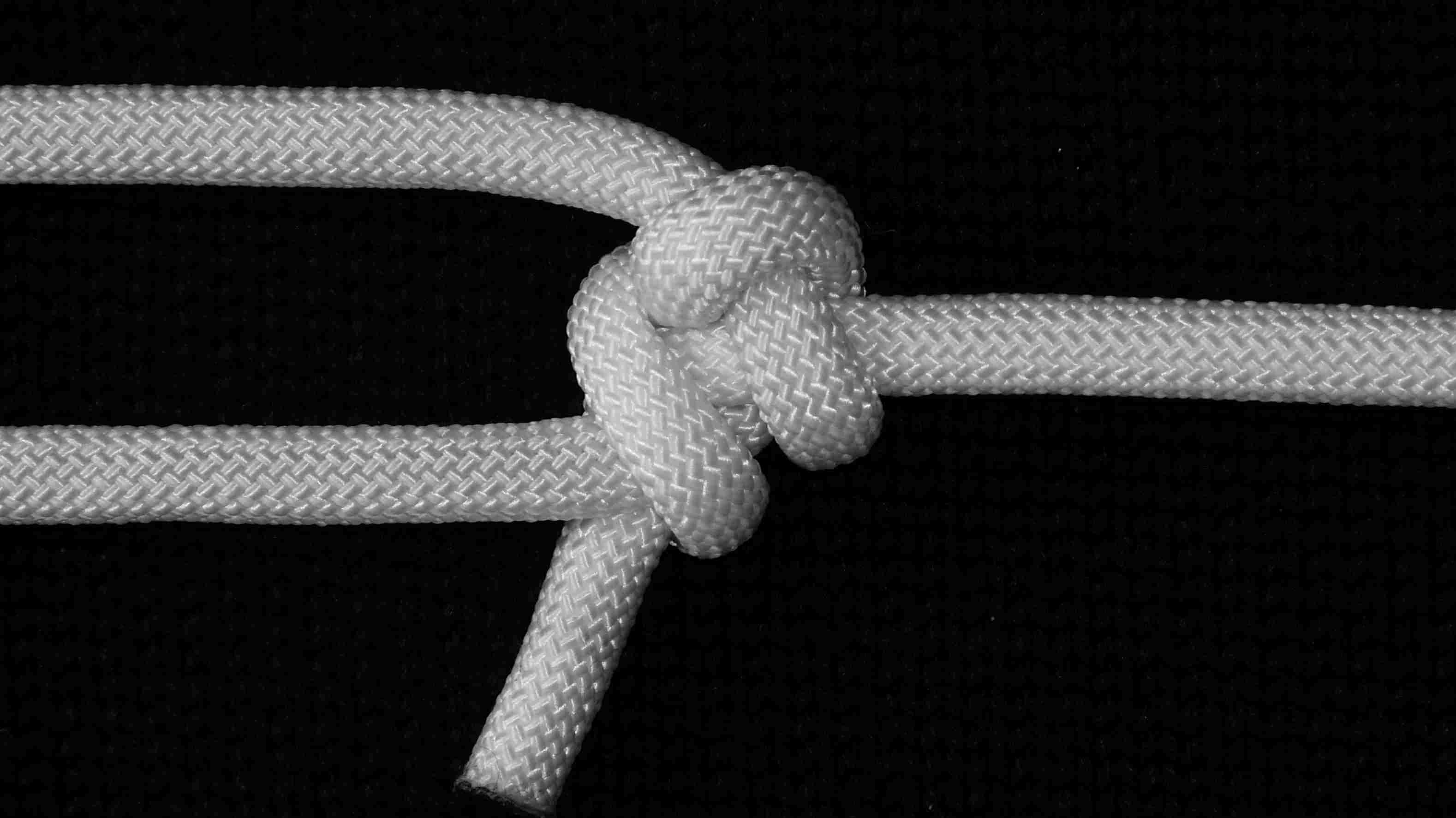 Luca s 8 Loop (2).JPG