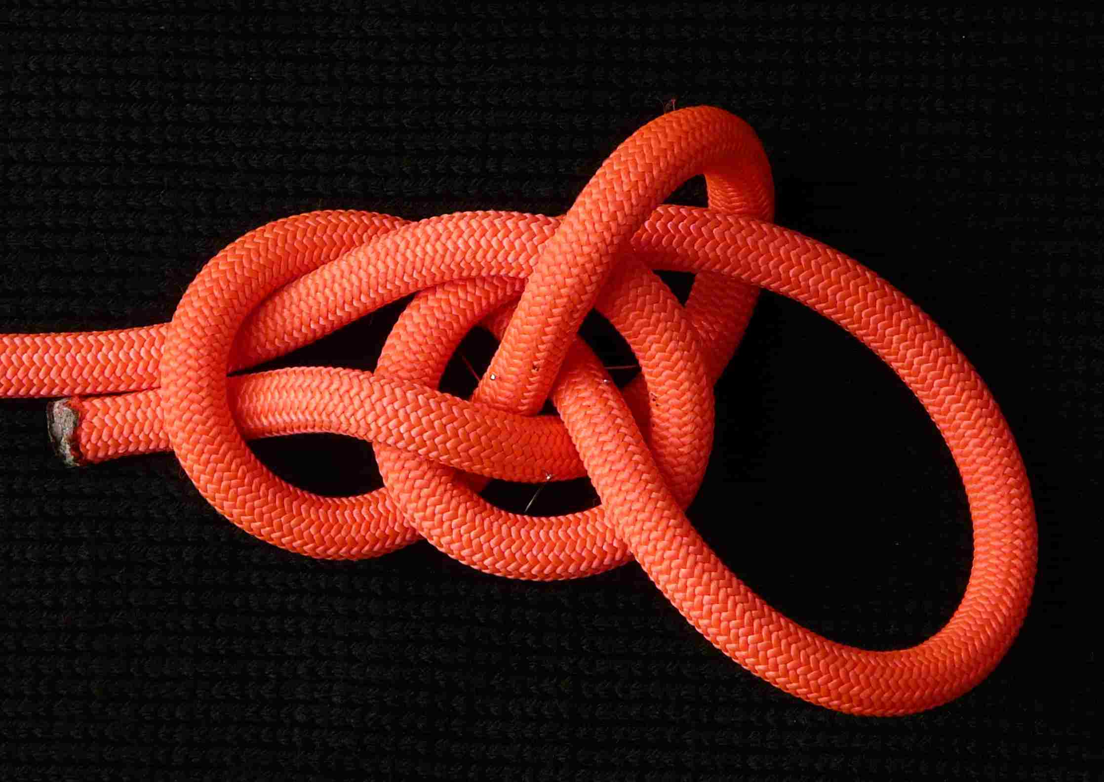 TIB bowline.JPG