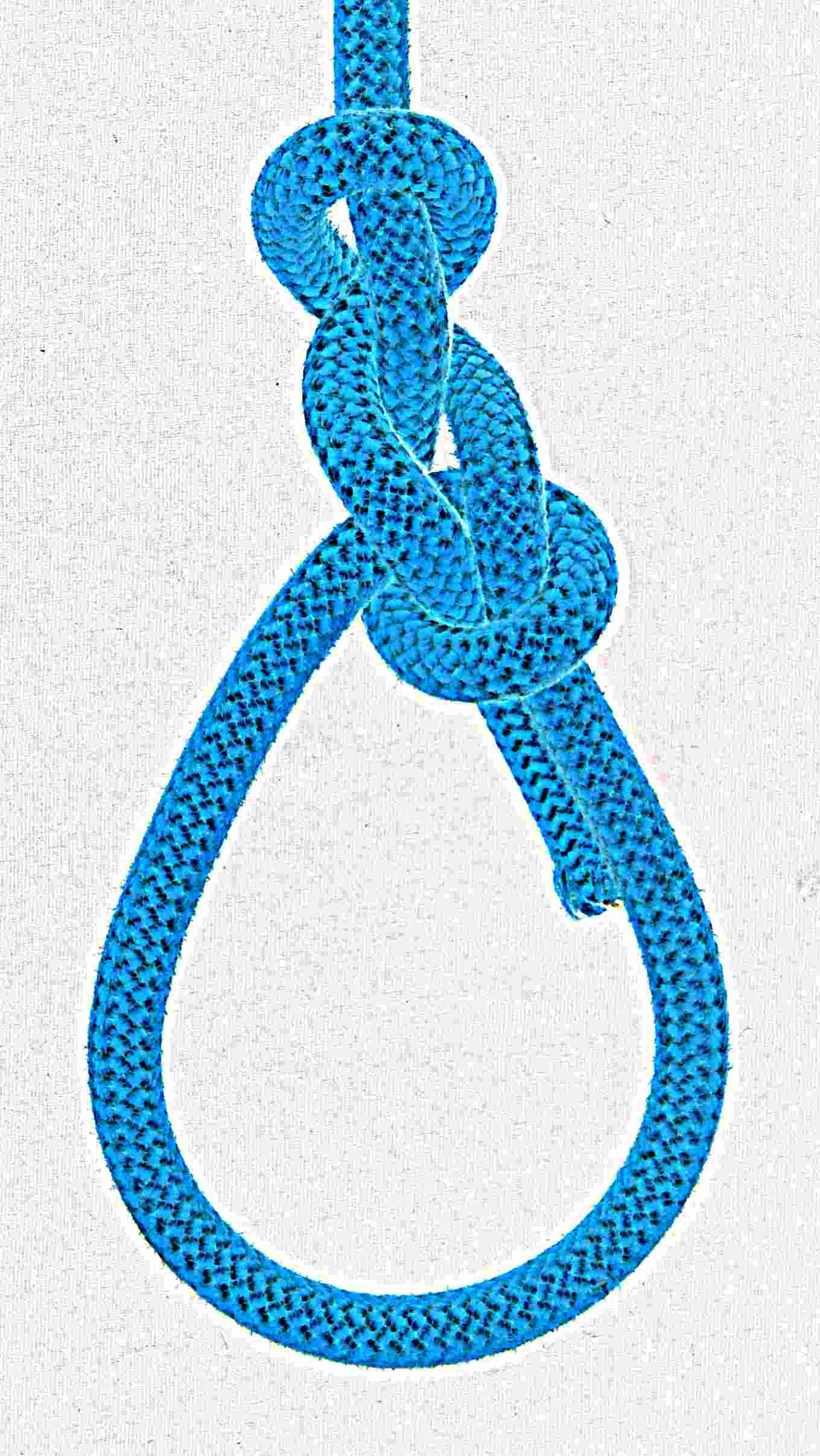 Braided Simplified (back view).JPG