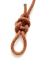 YiaLockedBowlineBacks.jpg
