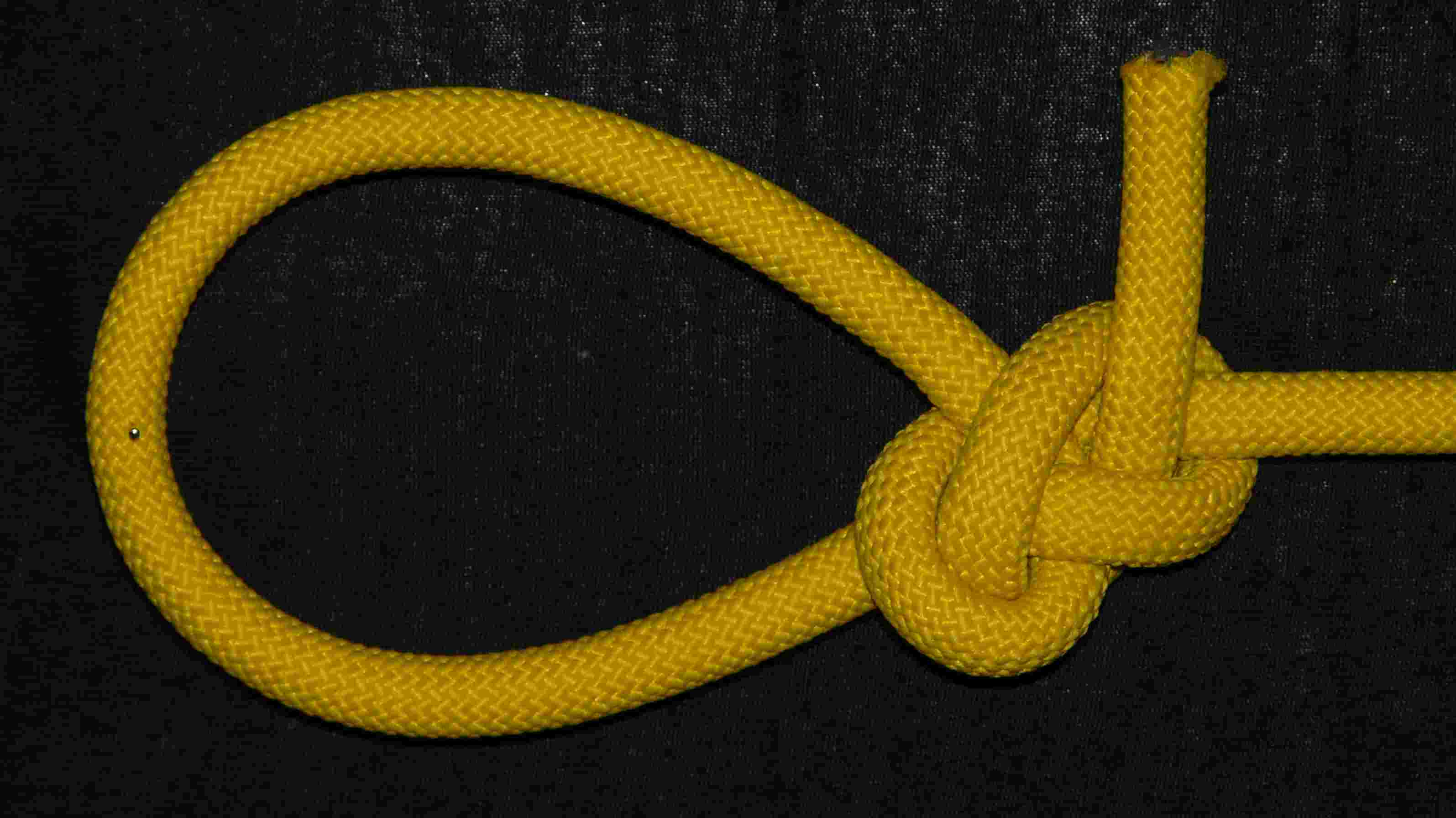 TIB locked bowline (front view).JPG