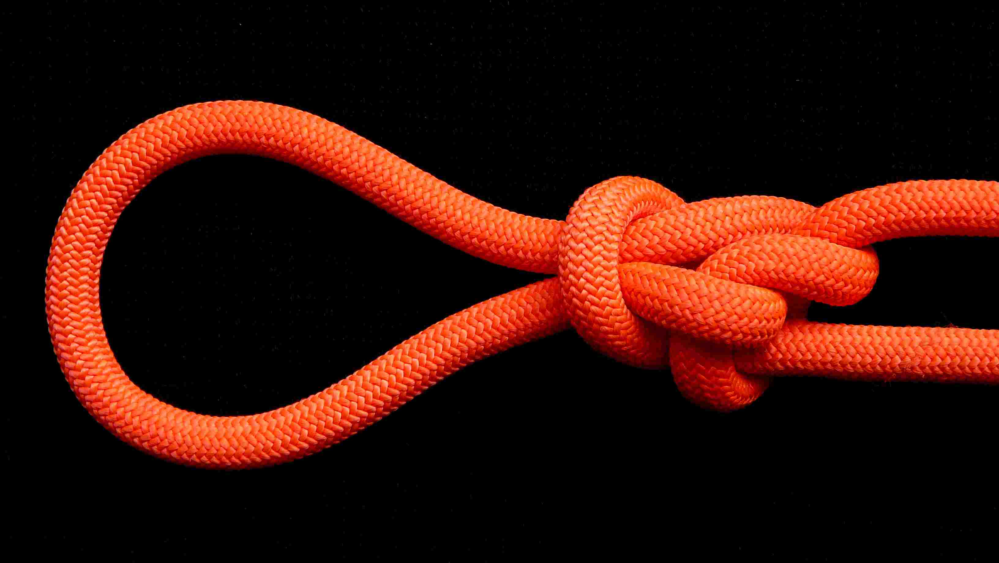 ABoK#1056 end-of-line (1).JPG