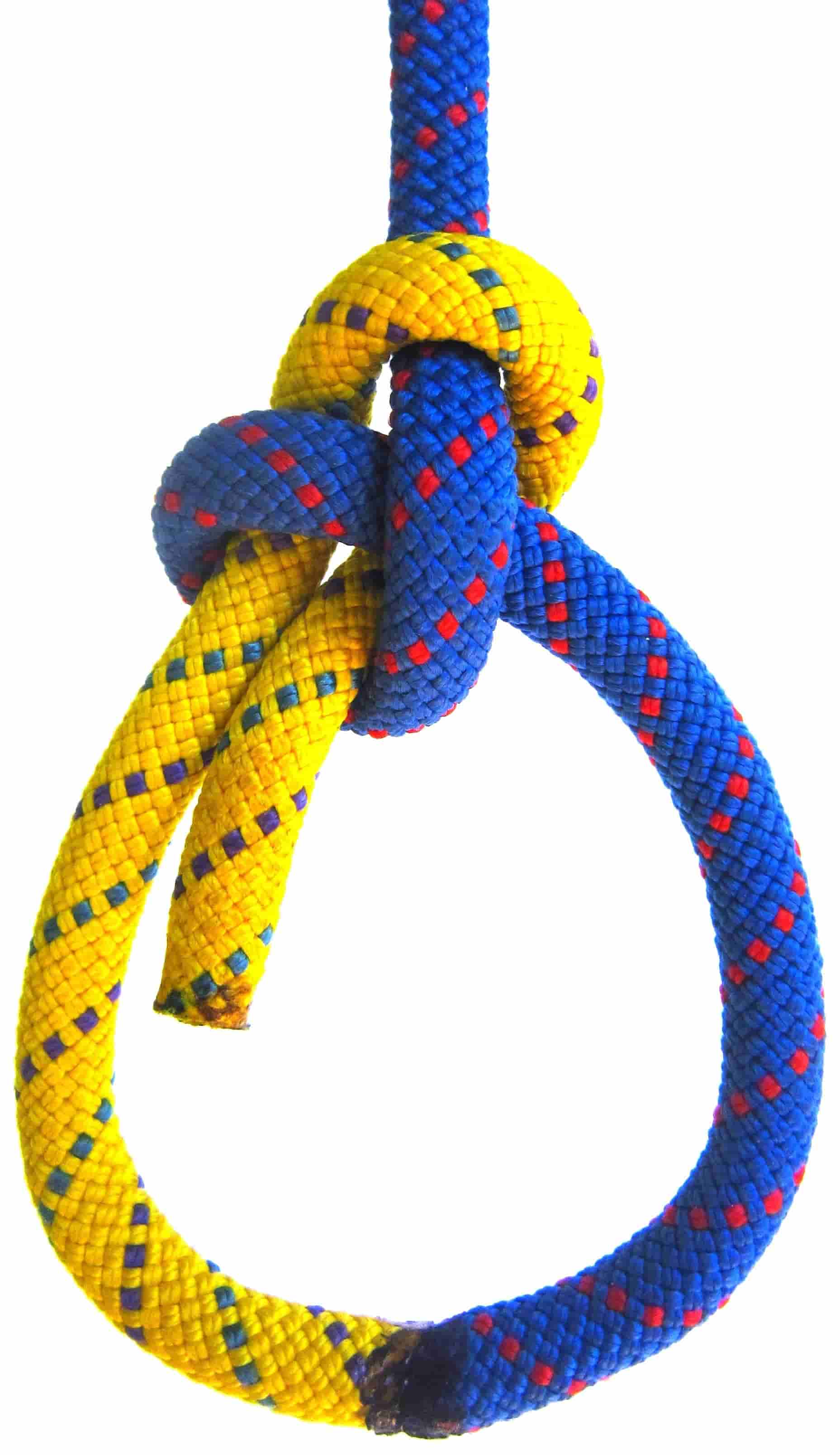 Bowline_1010_front_color_WEB.JPG