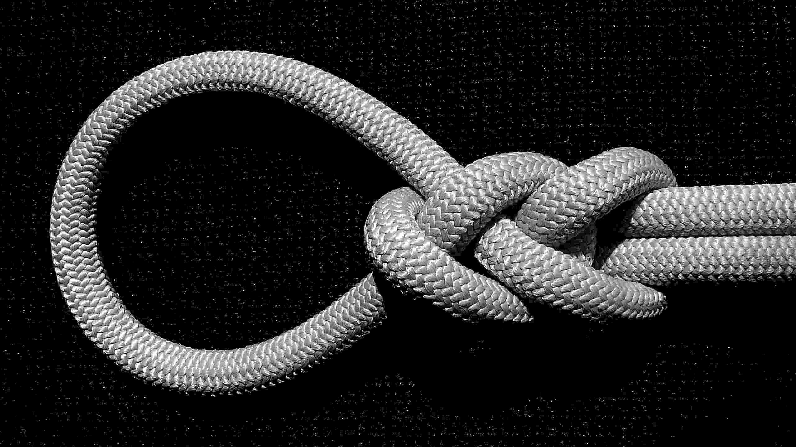 Plait loop ( front view ) - (B&W).JPG