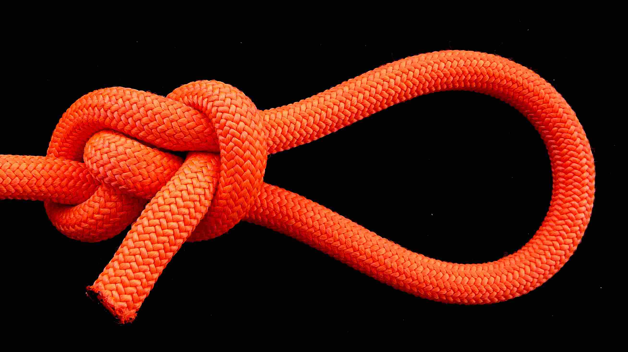 TIB fig.8 based loop (1).JPG