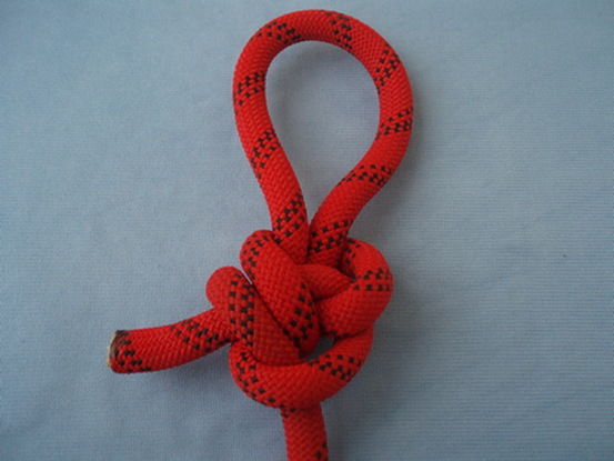 Transposed munter dragon_back.JPG