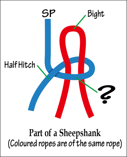HalfHitchSheepshank.jpg