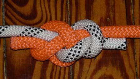 SaltyCracker s bend (back view).JPG