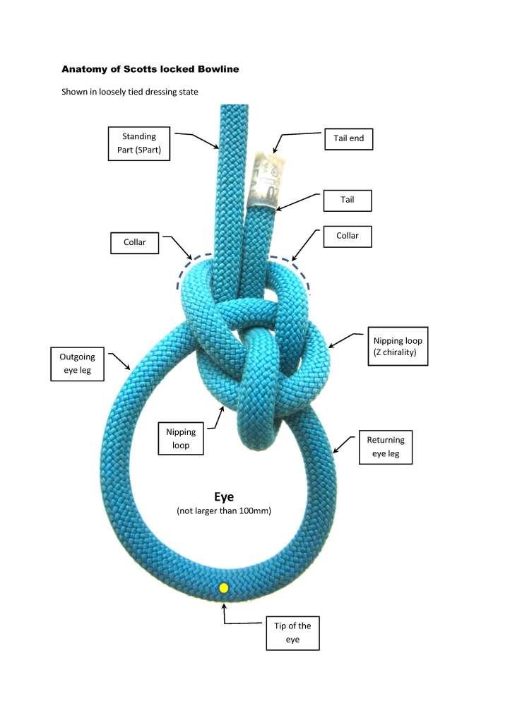 Bowline_Scotts-lock_Anatomy.jpg