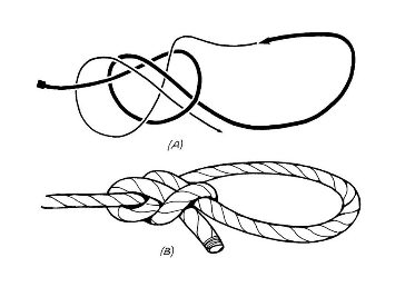 Ontario Bowline.png