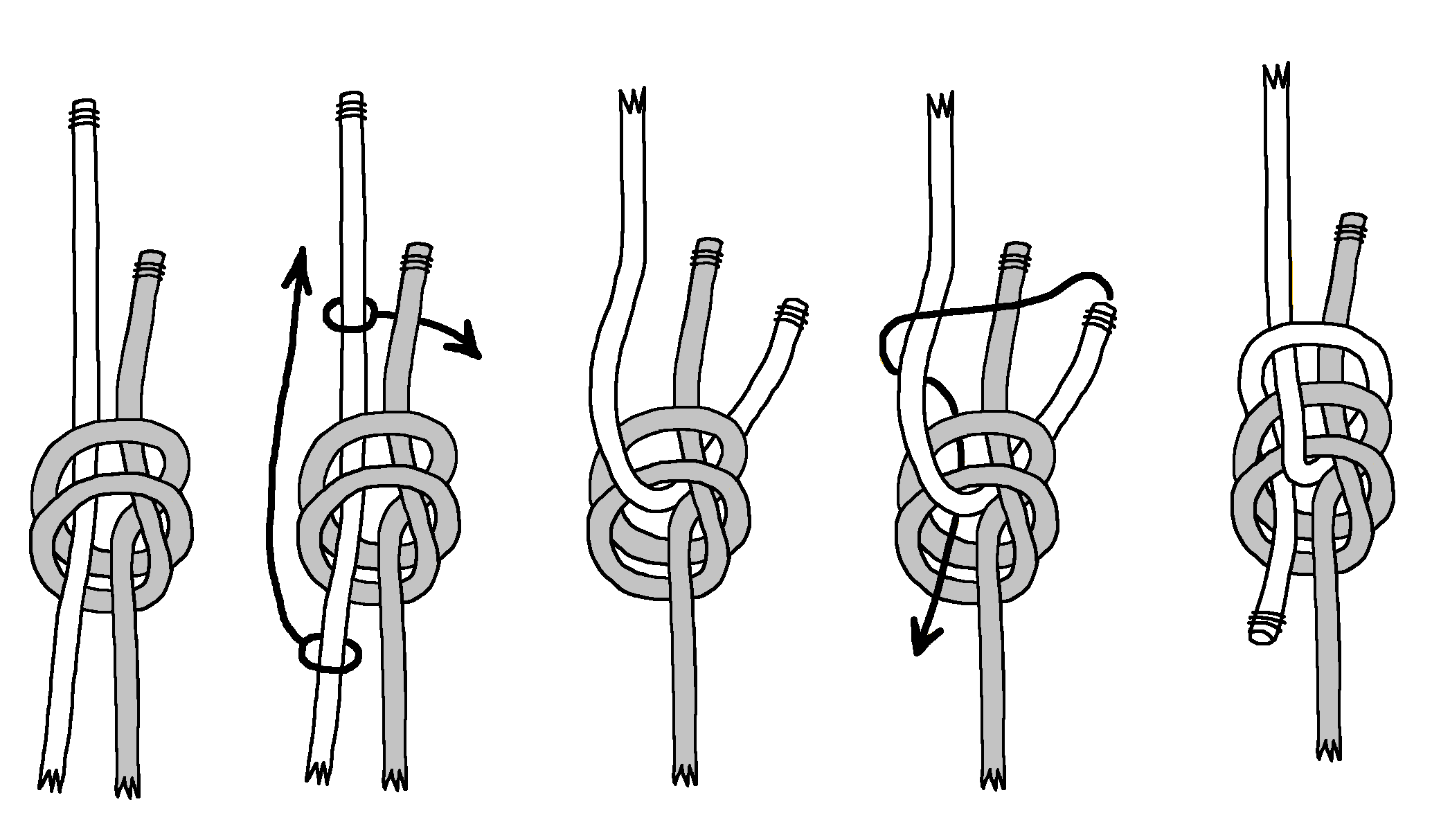 Ram Head Knot, Doubled.png