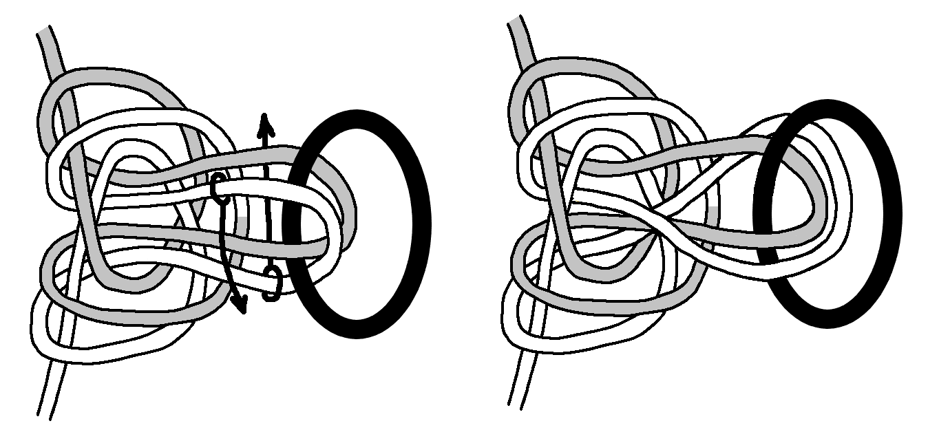 Double Butterfly from Single with Ring 2.png