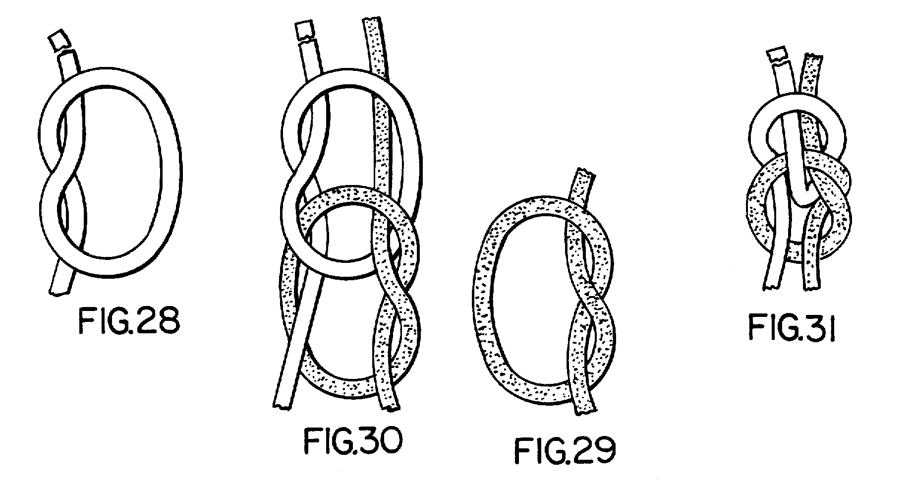 Hanson Knot Structure 1.png