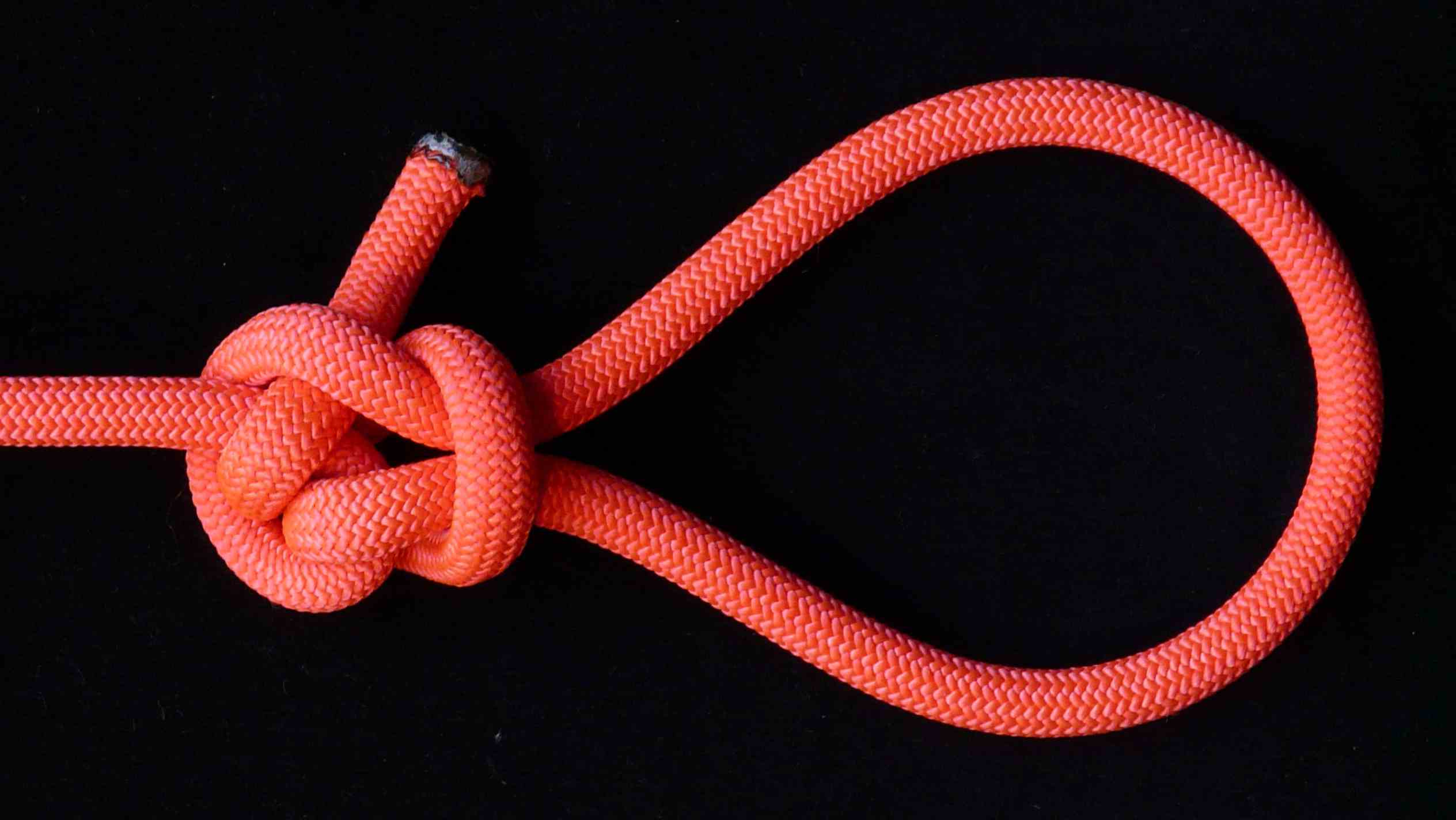 Span crossing knot loop (A)(back view).JPG