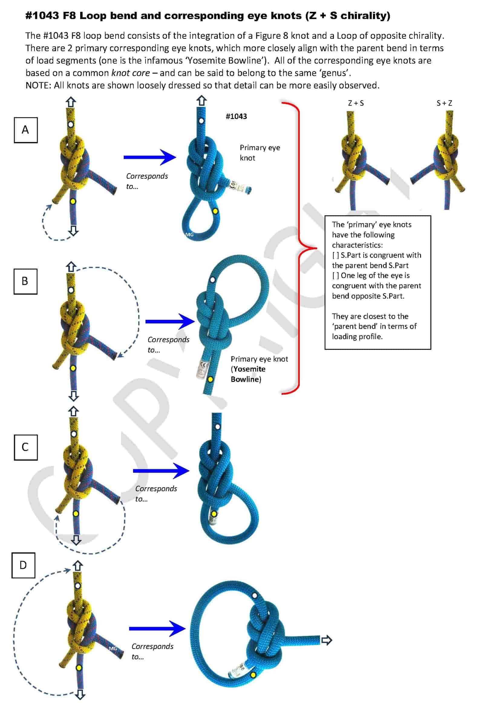 F8-Loop-bend_1043_corresponding eye knots_WEB.jpg