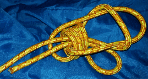 noeud-abeille_bee-knot_2 .png