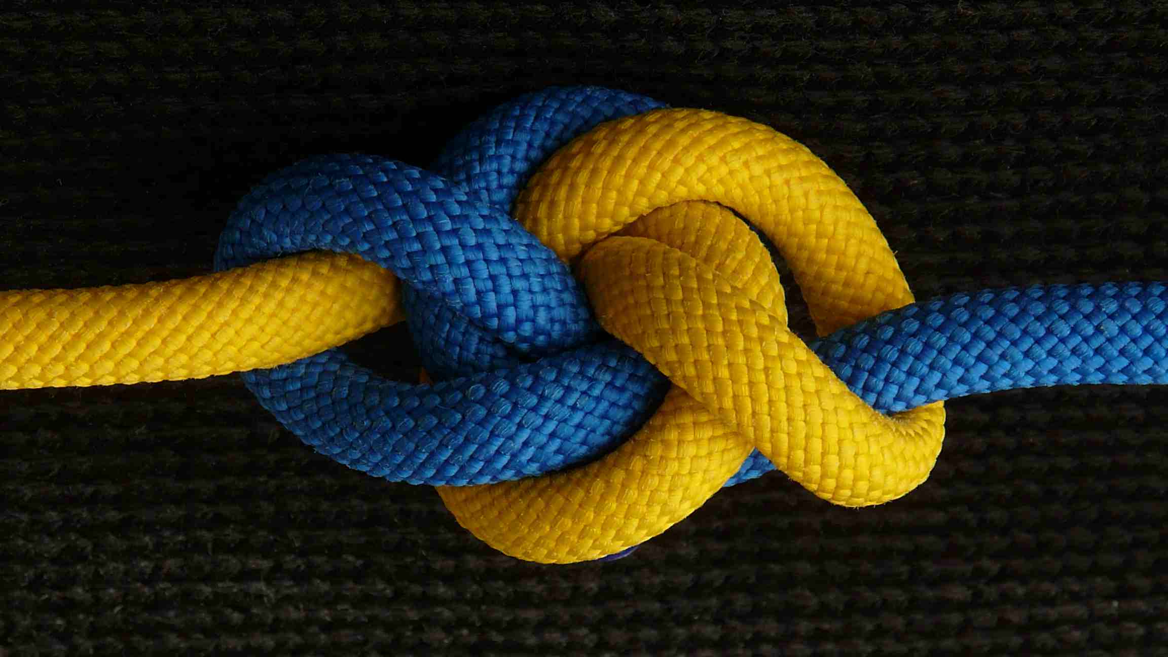 (top view).JPG