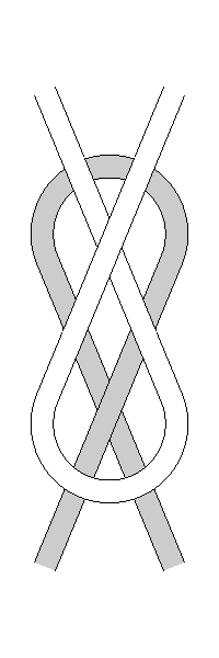 BasicForm.gif