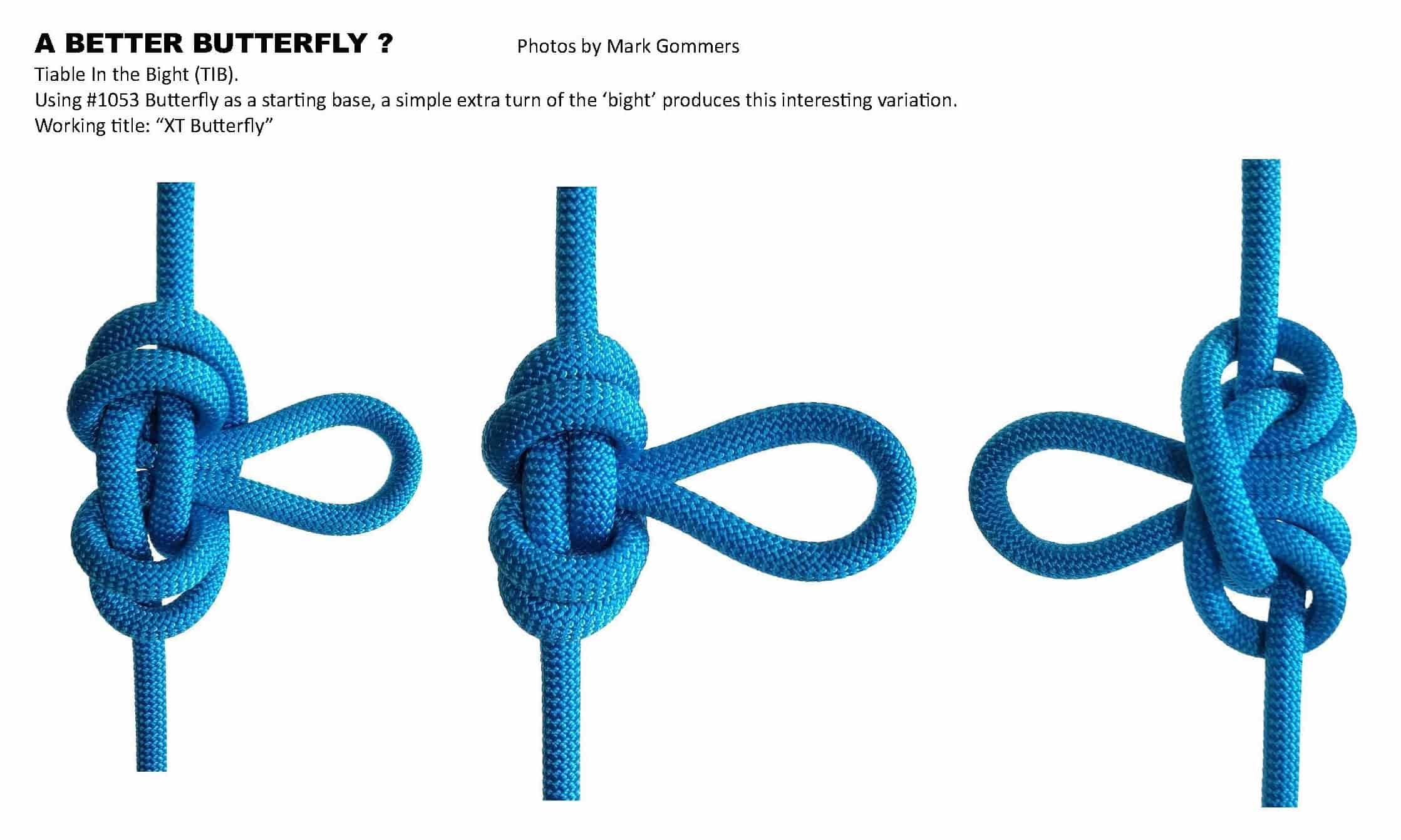 XT BUTTERFLY_WEB.jpg