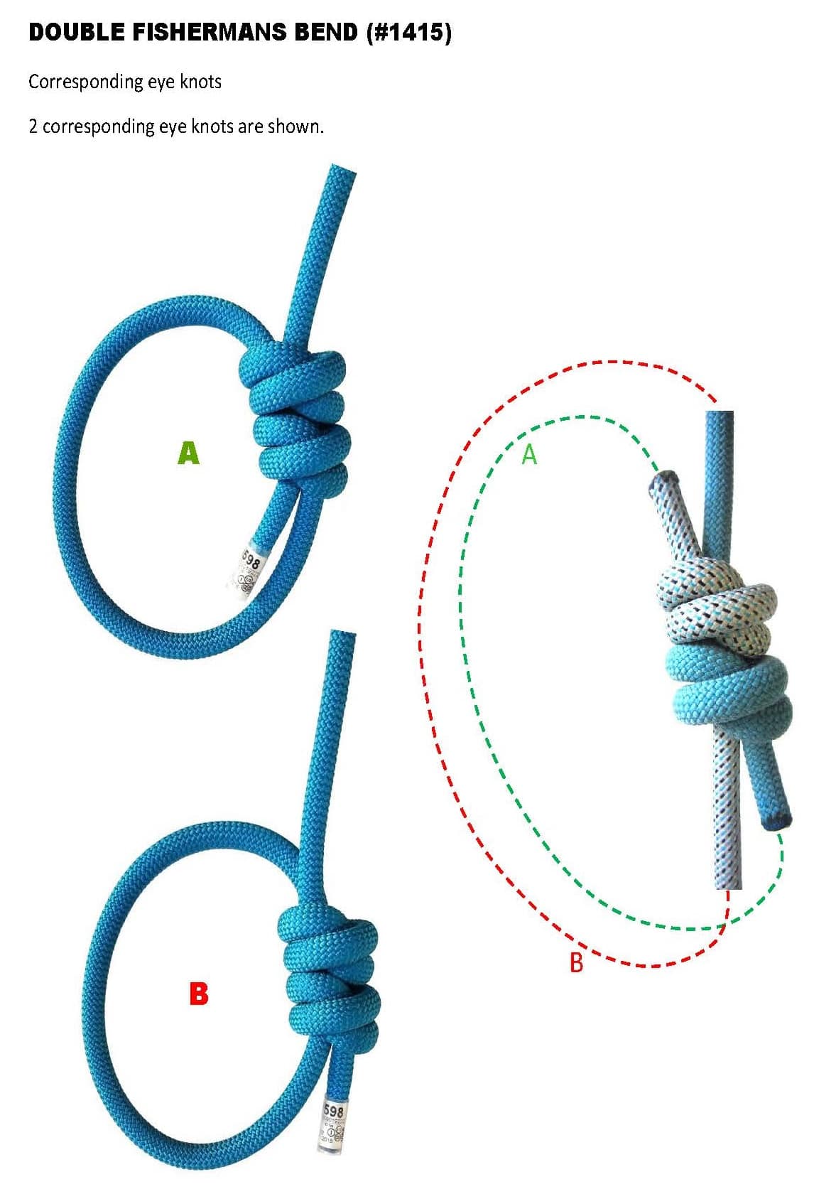 DOUBLE FISHERMANS BEND_Corresponding eye knots_not identical twins_WEB.jpg