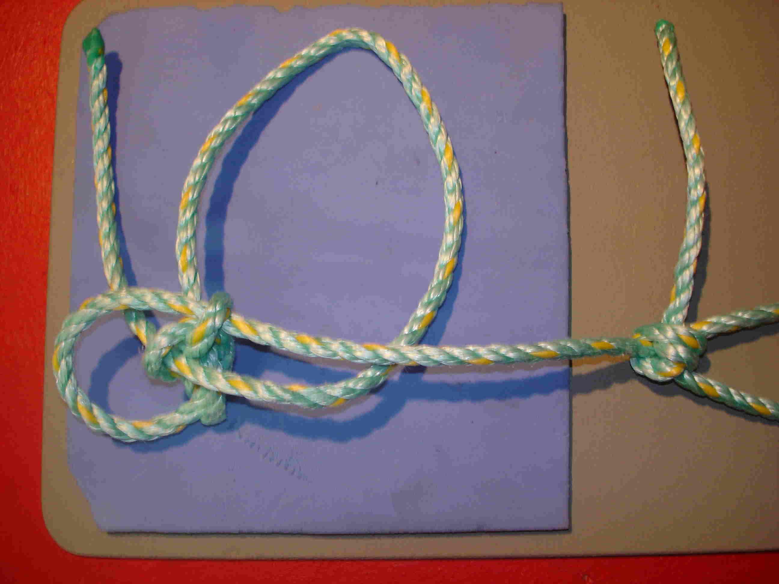 6mm dodc 50%mbs untied.JPG