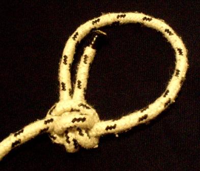 more active collar_front.jpg