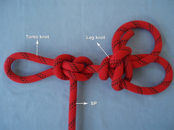 Man harness.JPG