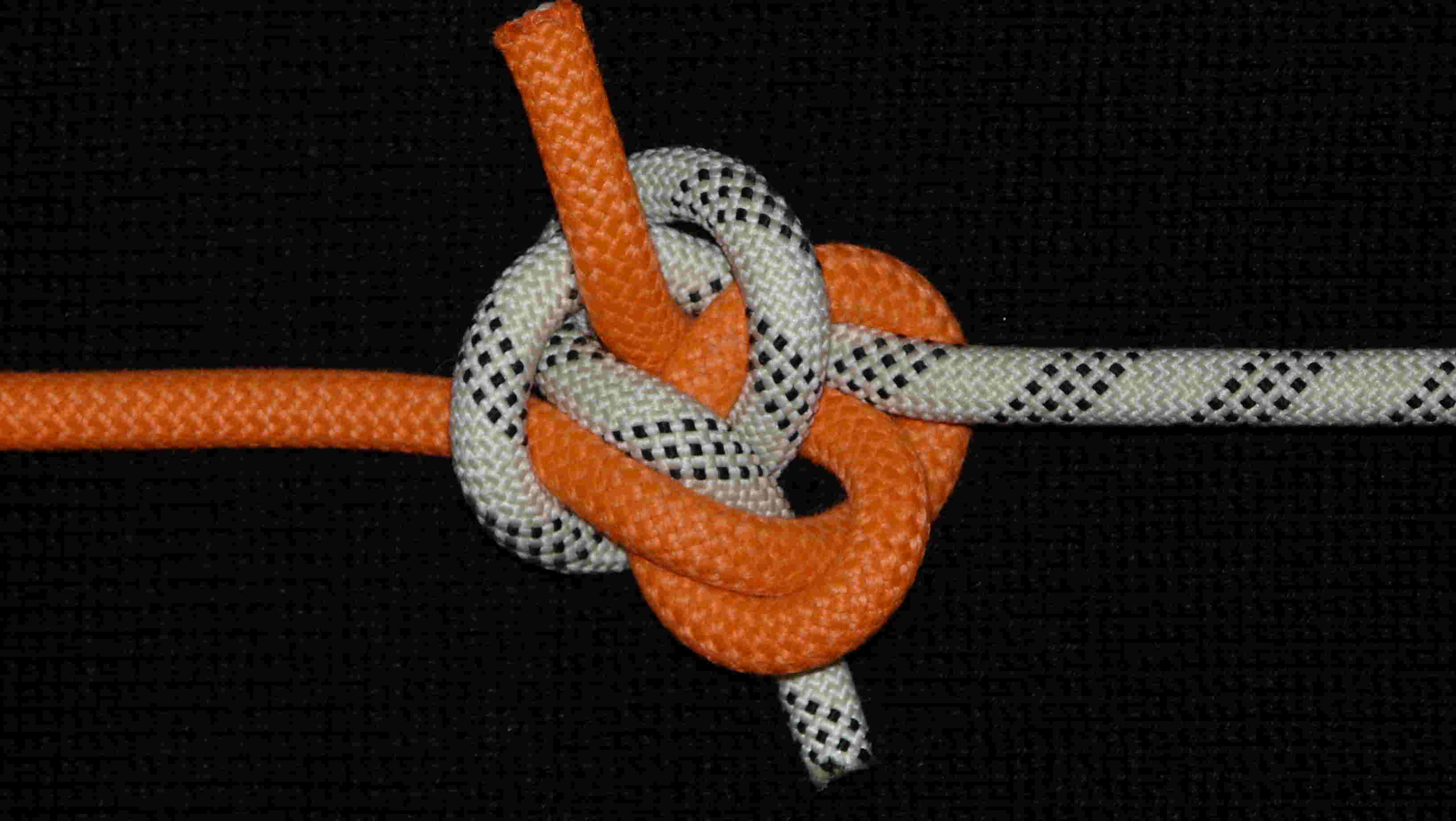 Fisherman-knot-like bend (crossed SP var.2)(back view).JPG