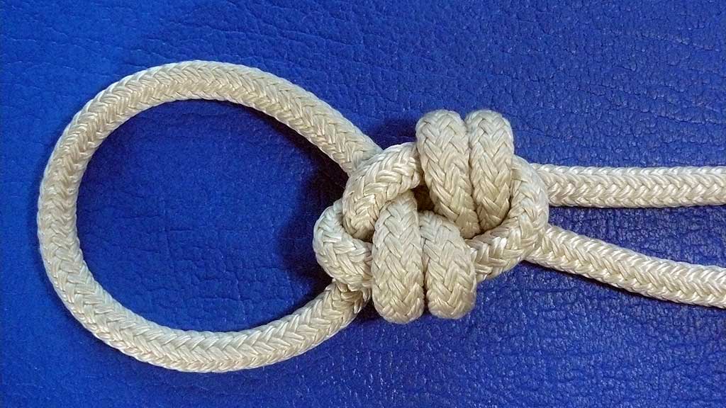 Gower nipper Loop.jpg