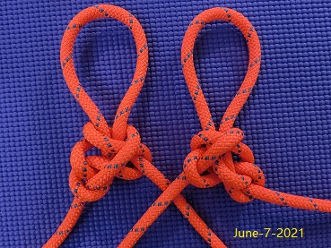 Dragon Midline X Loop.JPG