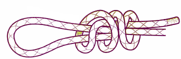 scaffold knot.PNG