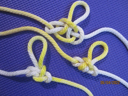 Midline   Loop -.JPG