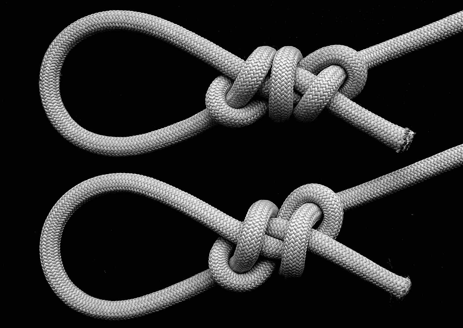 Helical loop(s) ( Constrictor )(front view)(B&W).JPG