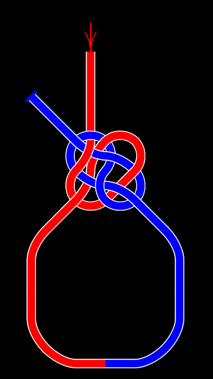 Lee s 8-shaped collar, -shaped crossing knot  bowline.jpg