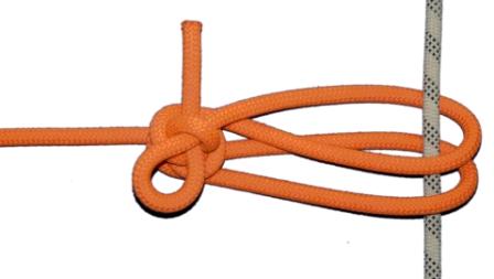 TIB loop (front view).JPG