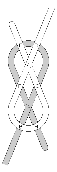 Enumeration1.gif