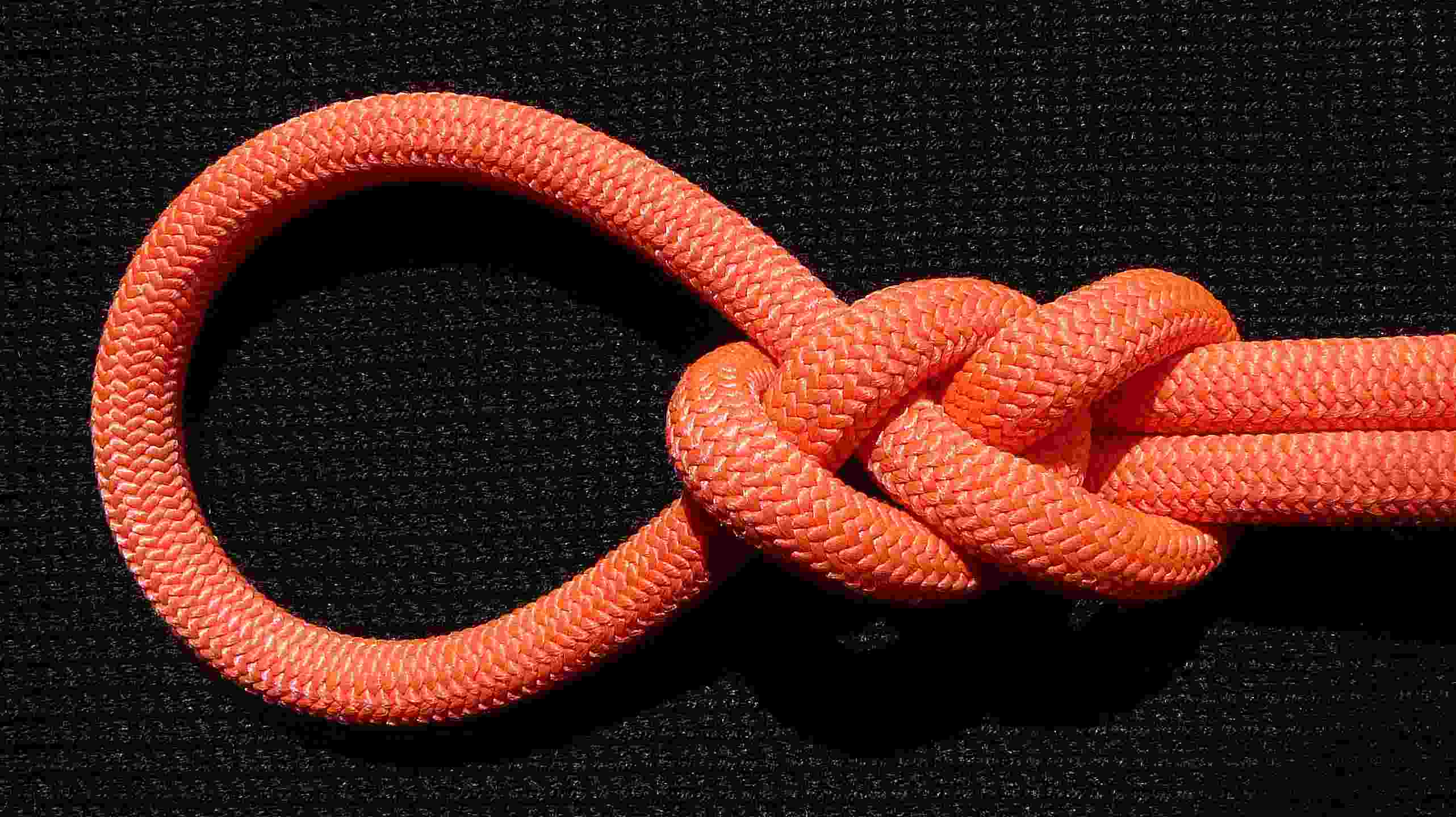 Plait loop ( front view ).JPG