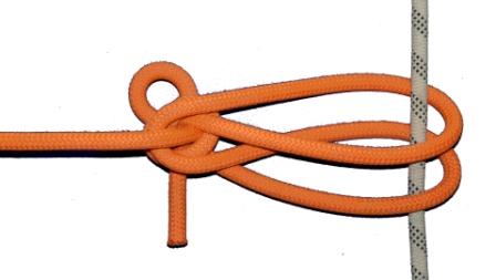TIB loop (back view).JPG